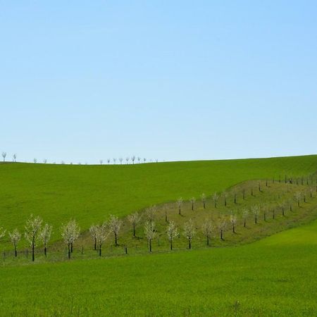Moravske Toskansko Stavesice Экстерьер фото