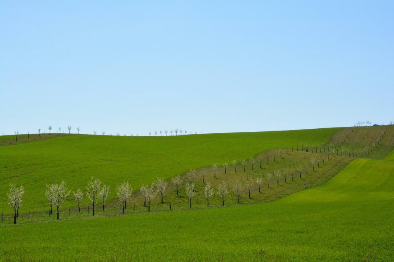 Moravske Toskansko Stavesice Экстерьер фото